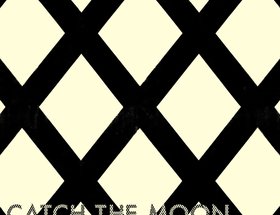 Catch the Moon, Catch the Blossom