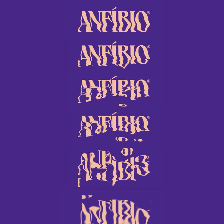 Anfíbio