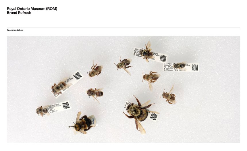 Rebrand for ROM, Canada's Largest Museum