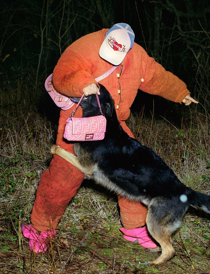 The Face Dog Trainer