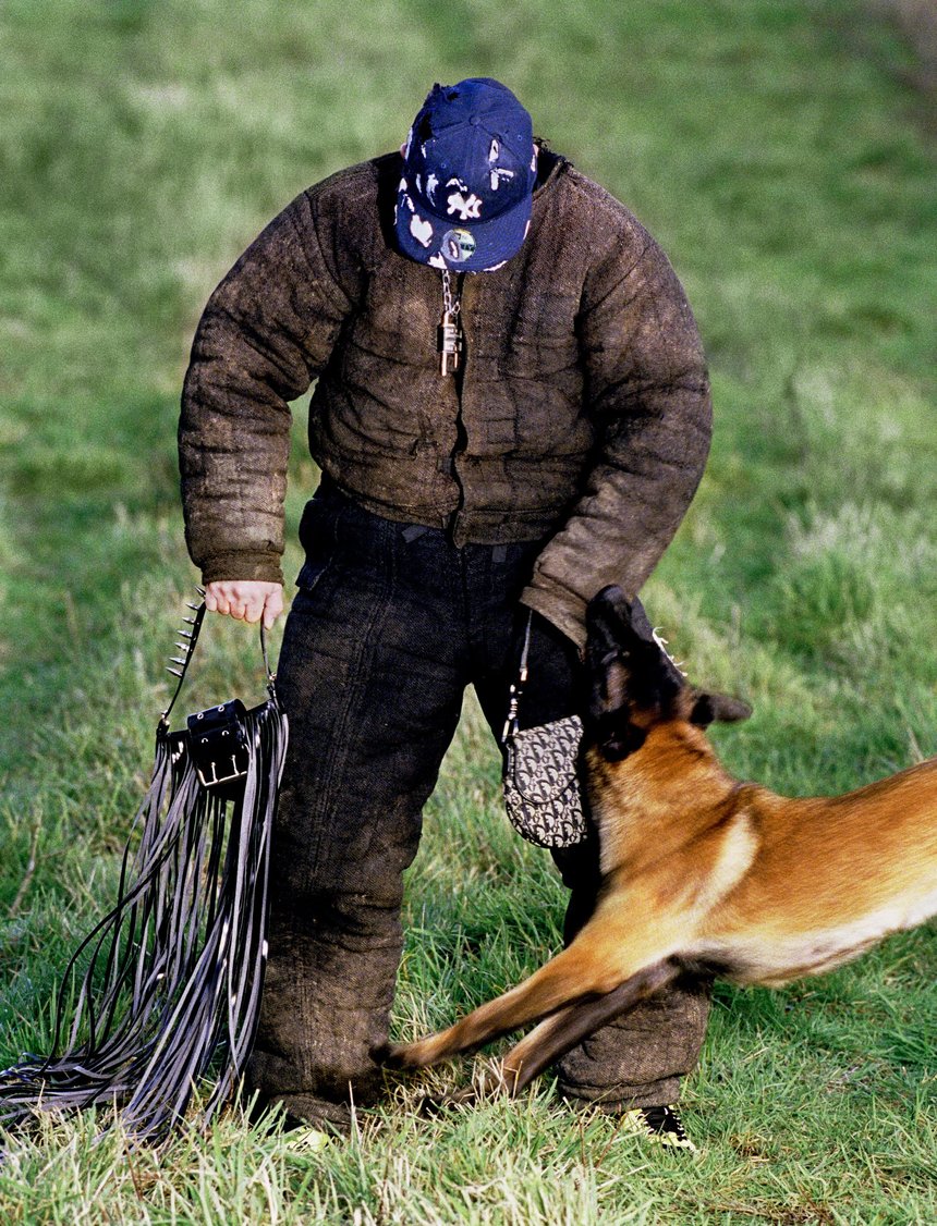 The Face Dog Trainer