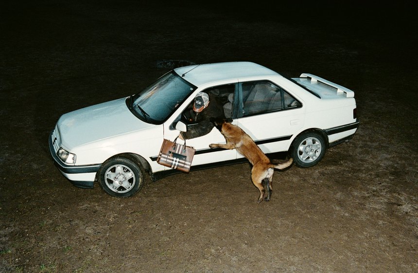 The Face Dog Trainer