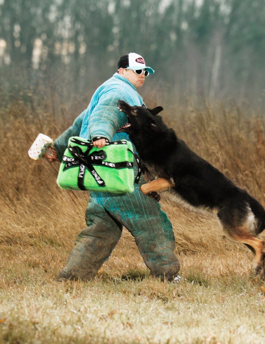 The Face Dog Trainer