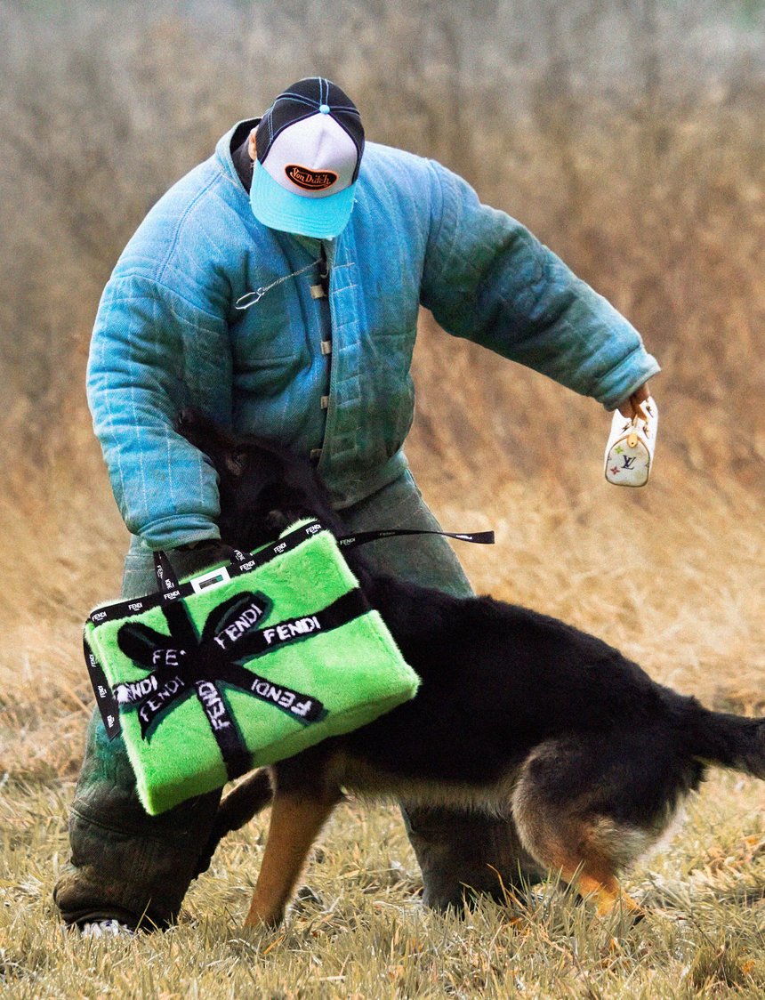 The Face Dog Trainer