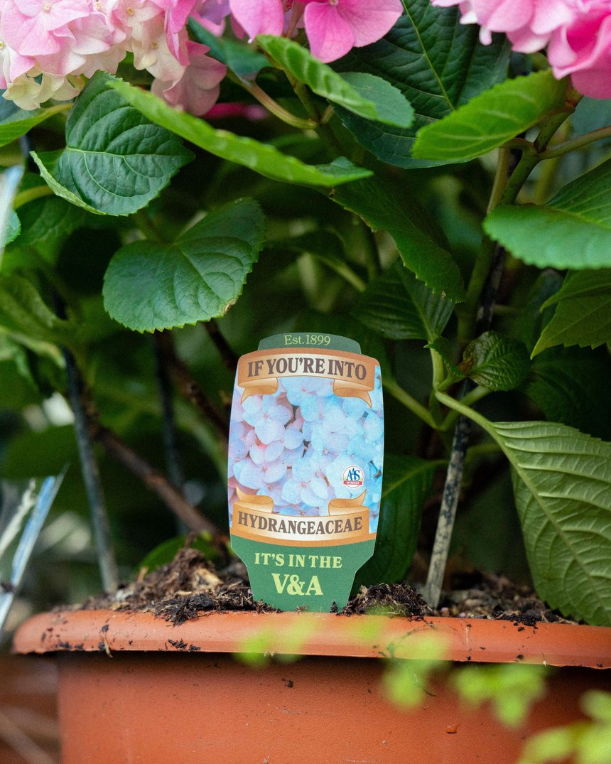 If You're Into It, It's In The V&A