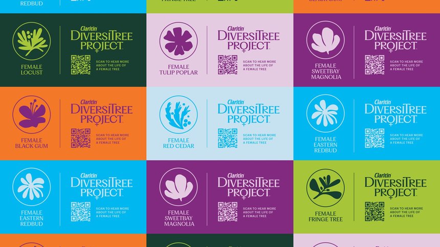 The DiversiTree Project