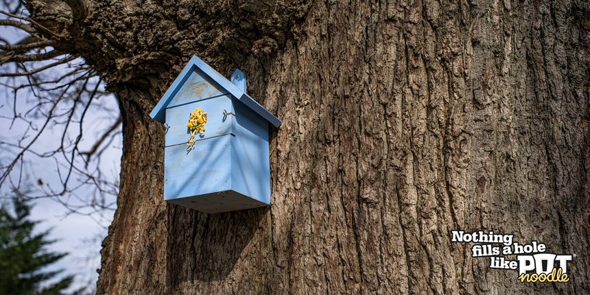Nothing Fills a Hole Like Pot Noodle