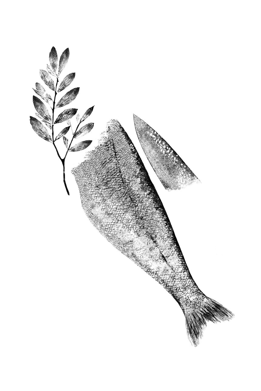 Kai Enzo – Gyotaku Prints