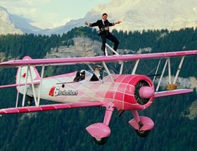 AntsLive – Captain Ants