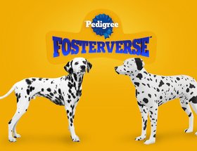 Fosterverse